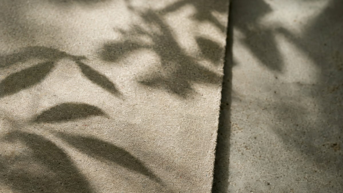 An abstract study: leaf shadows falling across textured recycled paper and concrete